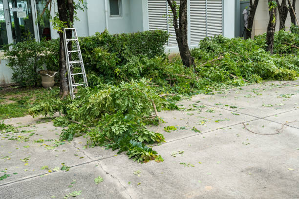 Best Utility Line Clearance  in Middle Valley, TN